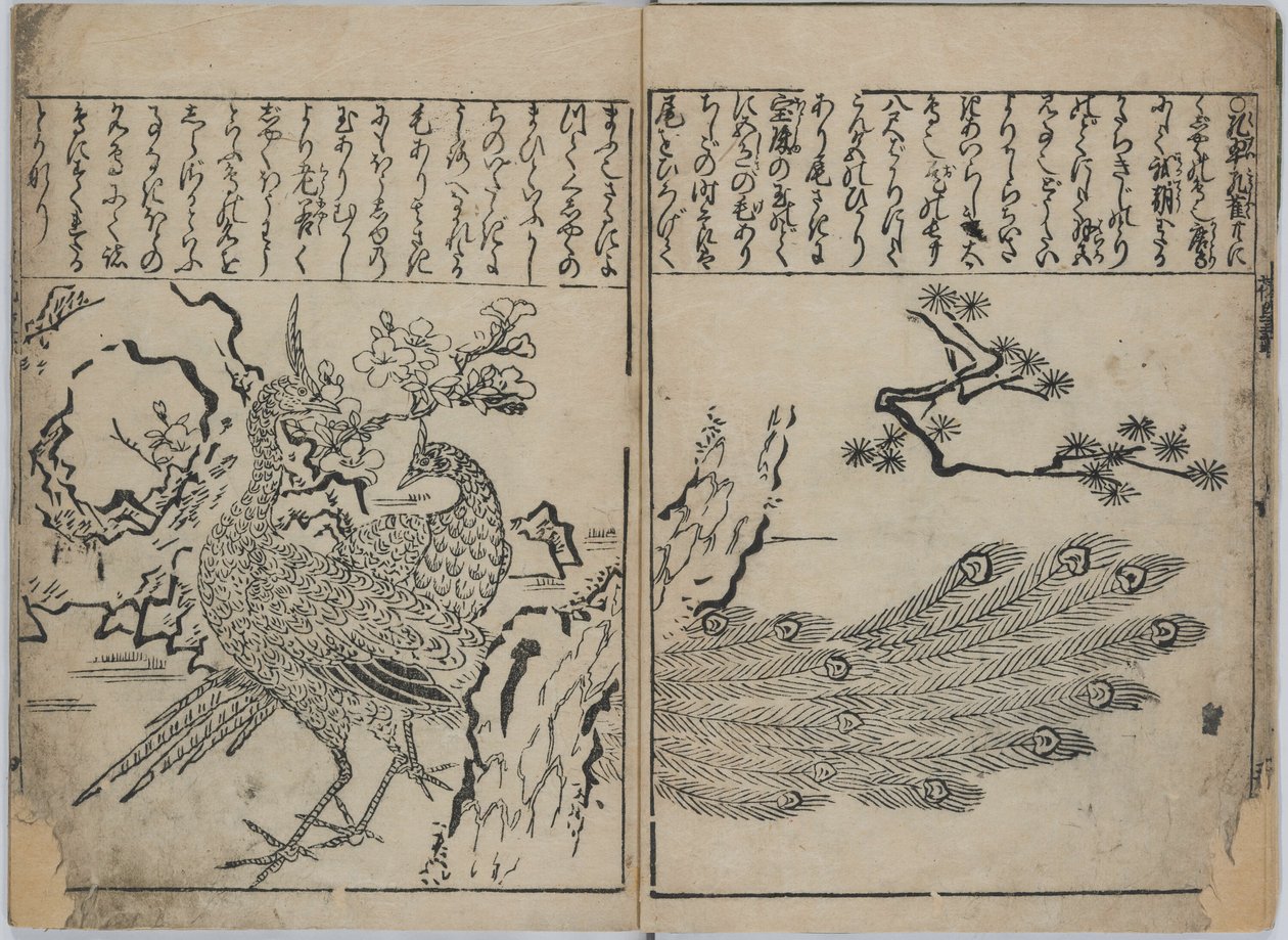 花鳥画集（花鳥図譜） 作： 菱川師宣