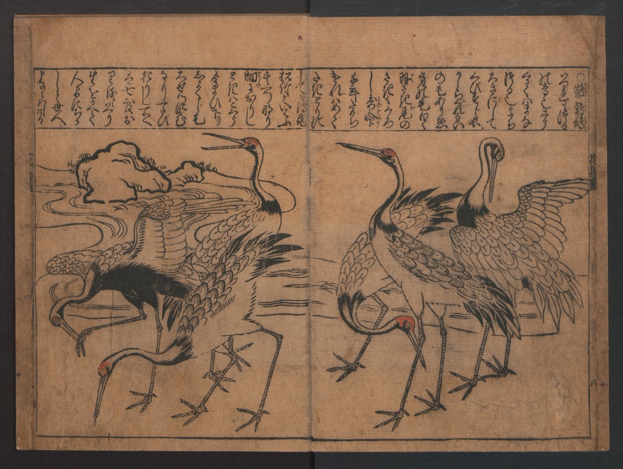 Illustrationen von Vögeln und Blumen (Kachō e-zukushi) 作： 菱川師宣