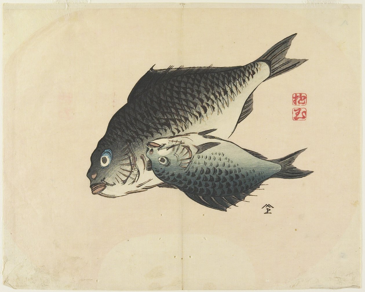 （魚のペア）、c。 1830 作： 奉行