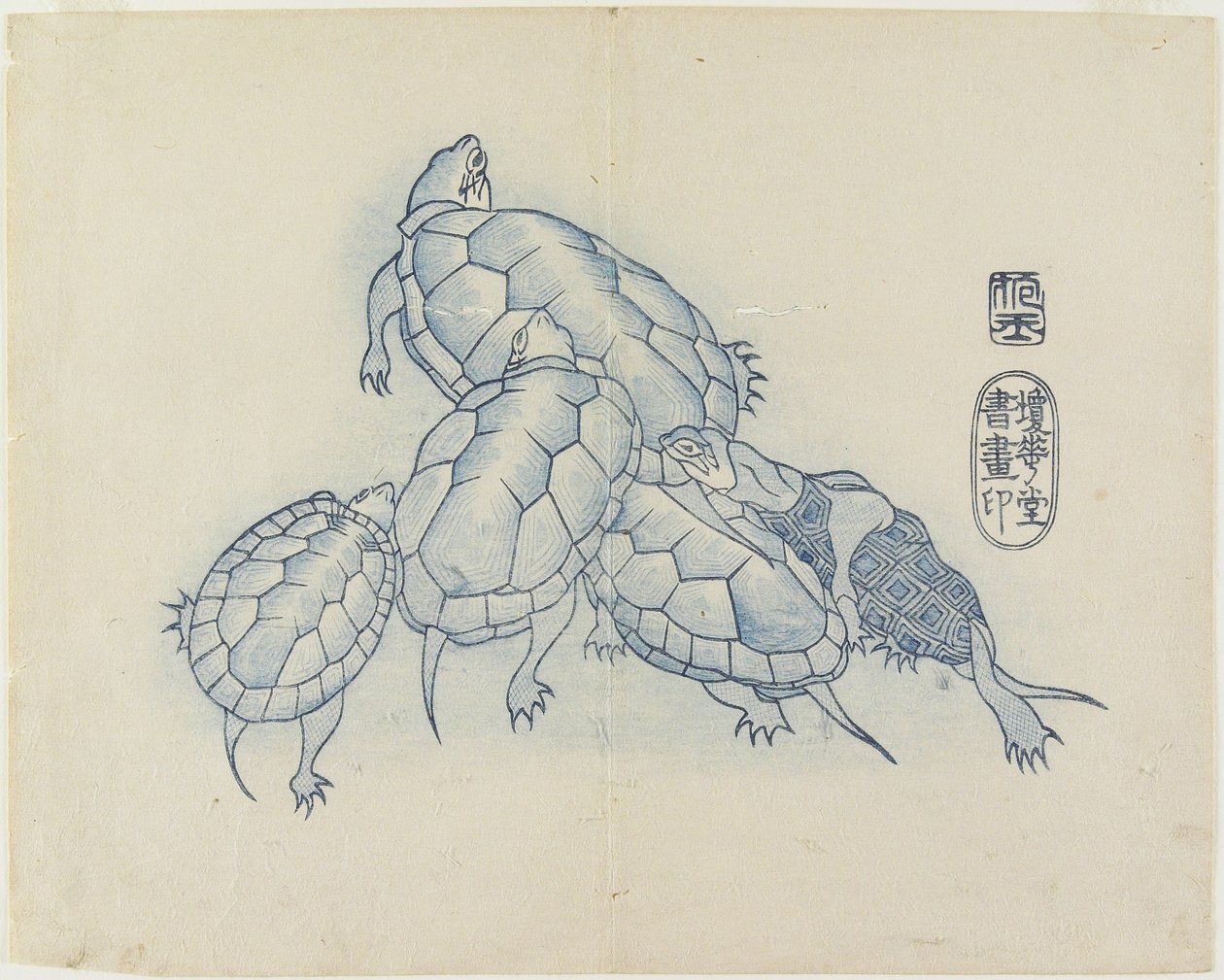 （カメ）、c。 1830 作： 奉行