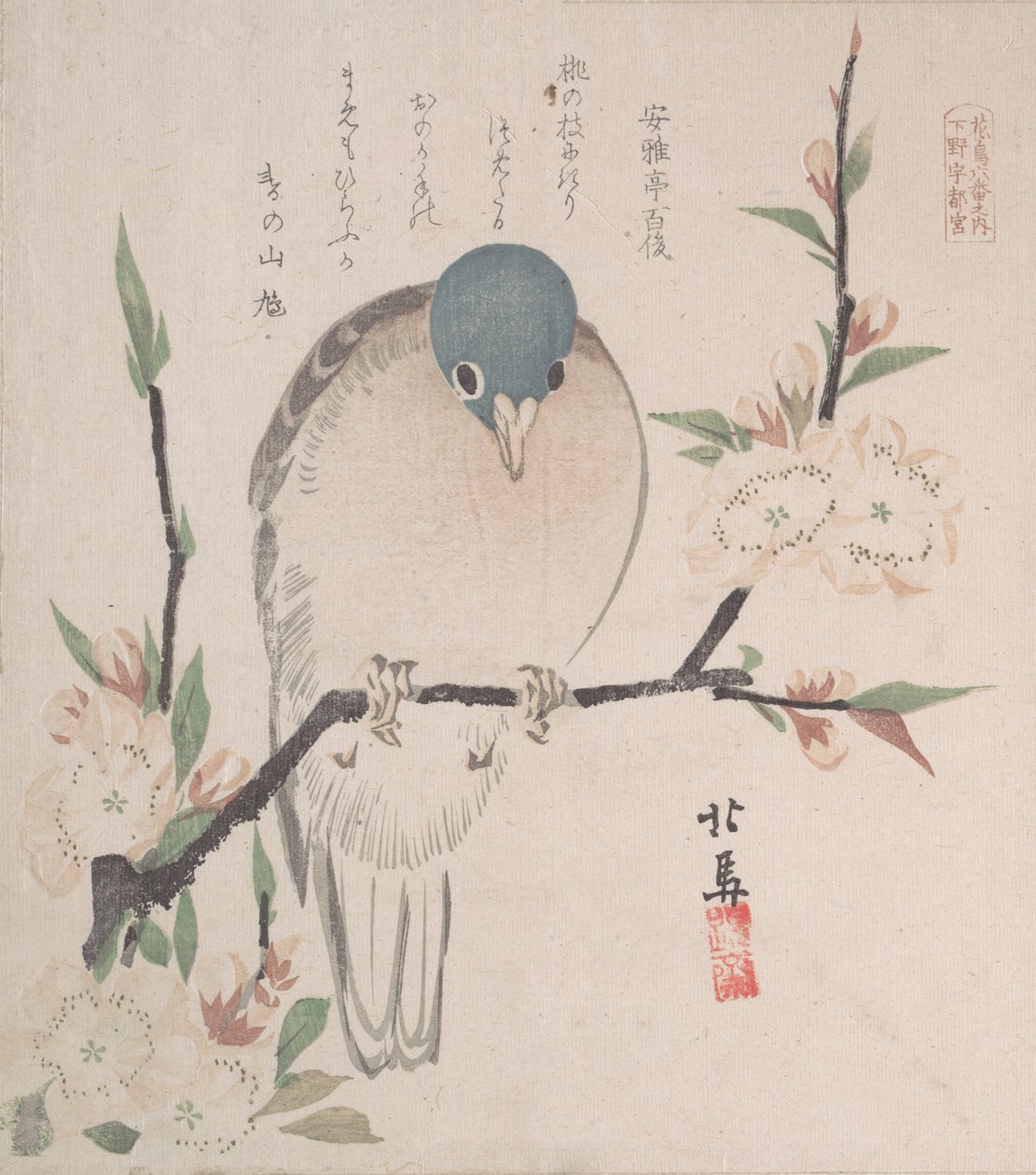 春雨集 春雨集 vol. 3: 山鳩と桃の花、約。 1820年頃。 1820年。 作： 蹄斎北馬