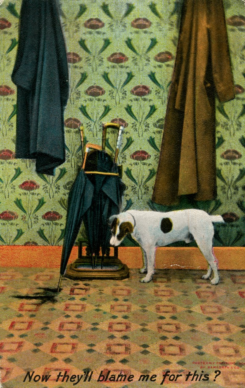 「今、彼らは私を責めるだろう」、c1910. 作： Holmfirth Bamforth and Co