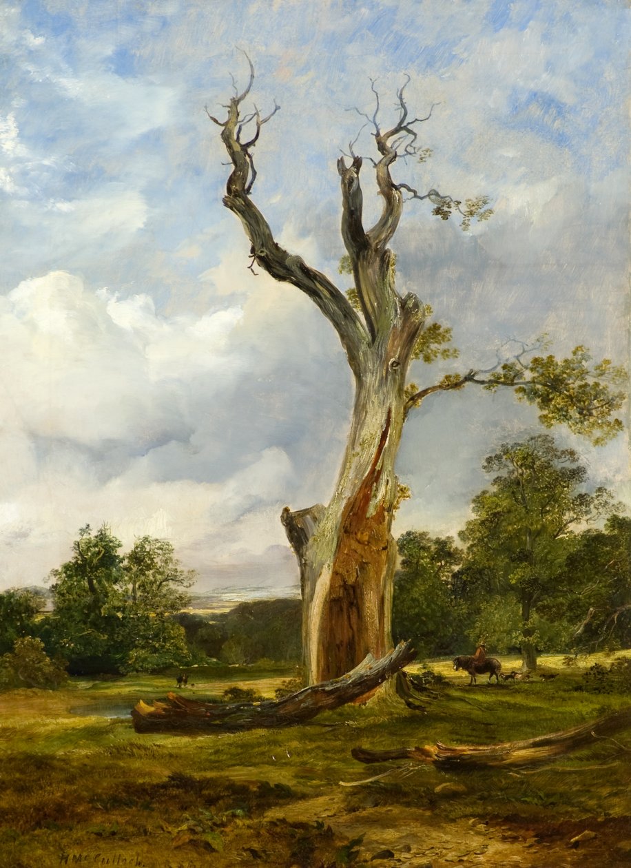 爆破された木、c.1838（キャンバスに油彩） 作： ホレイショ・マカロック