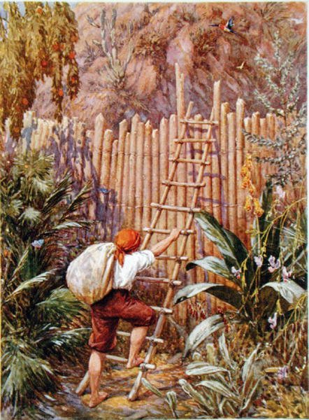 クルーソーと彼の要塞、ダニエル・デフォー（1660-1731）による「ロビンソン・クルーソー」のイラスト（カラーリソ） 作： ハワードデイビー
