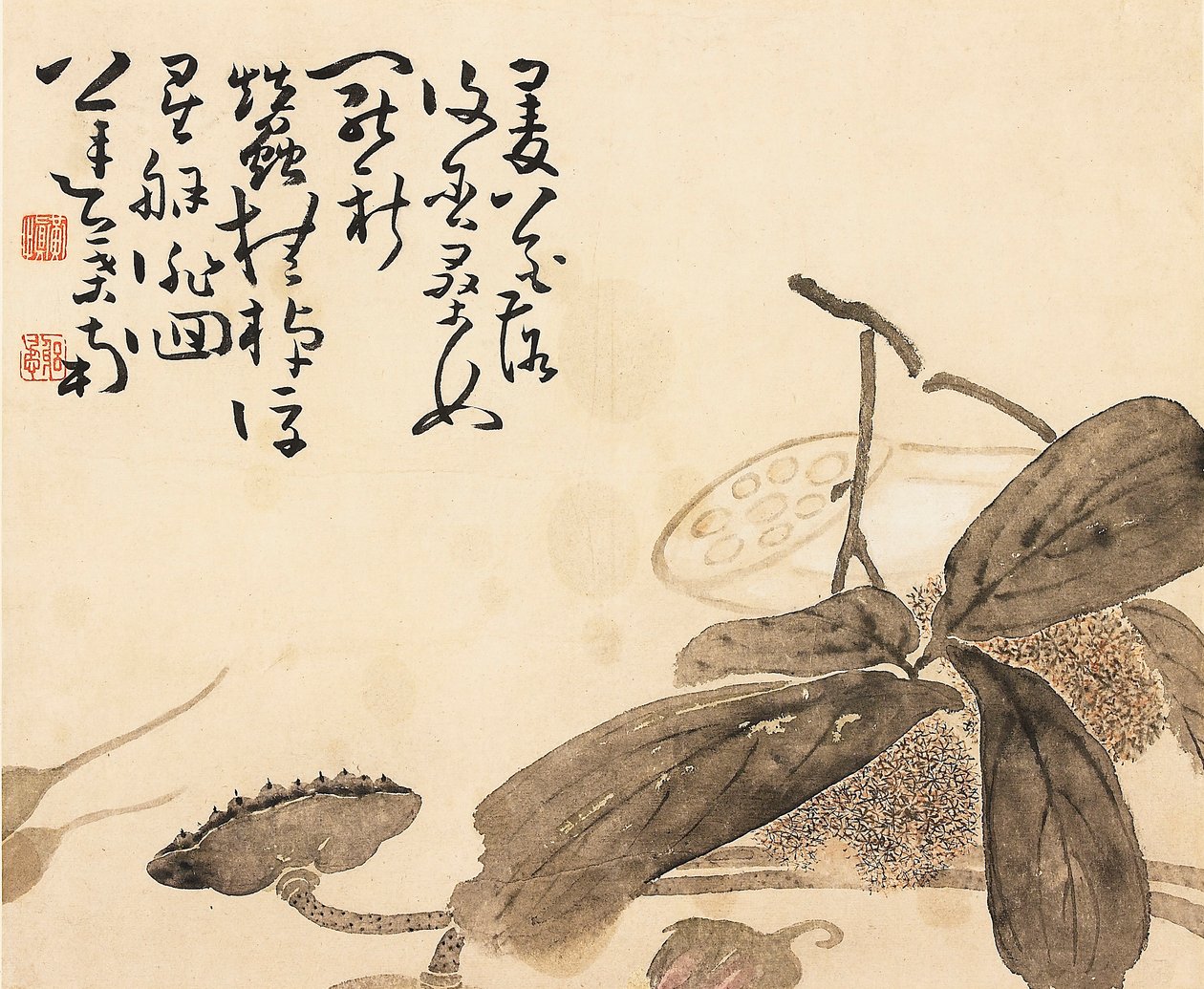 彩色されたアルバム リーフ - 蓮の植物、18 世紀 作： 黄神