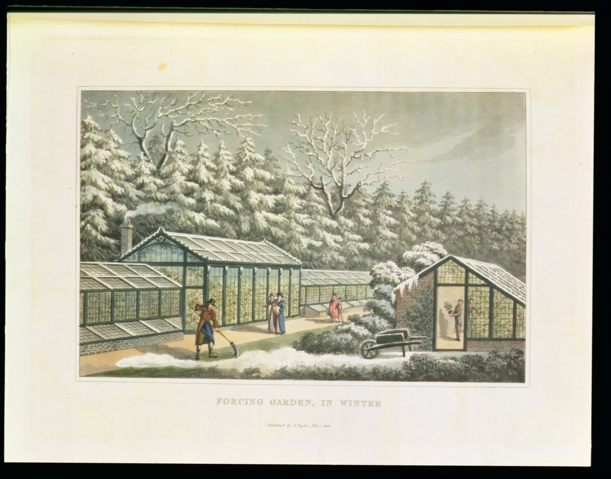 造園の理論と実践に関するフラグメントからの冬の強制庭園」、パブ。 1816 作： ハンフリー・レプトン