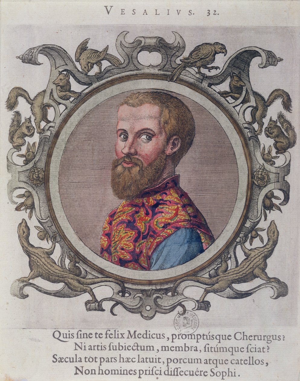 アンドレアスヴェサリウス（1514-64）の肖像画（1574年）ハンガリーの医師、サンブクスによるMedecinsのレキュイユデ肖像画1574 作： ハンガリー語学校