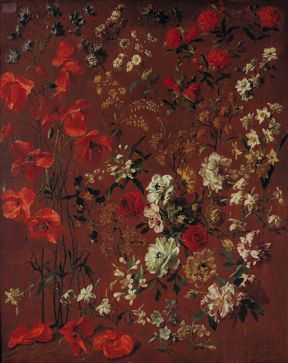 花の研究、1720 作： ヒヤシンス・フランソワ・リゴー