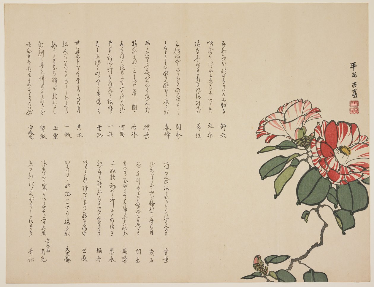 開花ツバキ、1818年から1829年（色木版画） 作： 百九