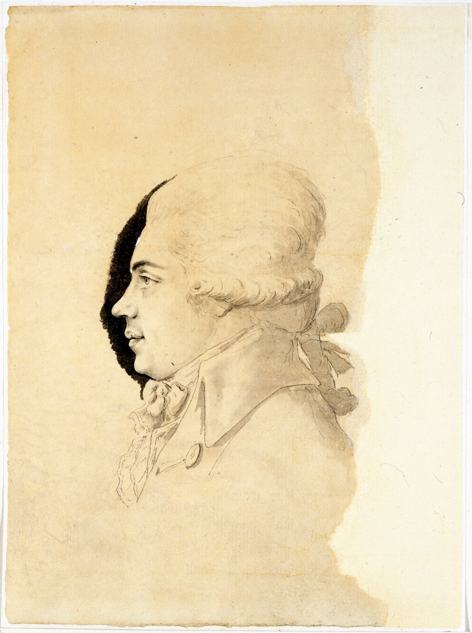 ニコライ・ペトローヴィッチ・ルミャンツェフ伯爵 (またはロマンゾフ) (1754-1826) の肖像画 - Oeuvre de I-I Haacke (Haake) (活動中の 1750-1800), fin des annees 1780 - ニコライ・ペトロヴィッチ・ルミャンツェフ伯爵 (1754-1826) の肖像画 - ペン、ブラシ、 I-I Haacke (Haake) による紙にインク ( 作： IIハッケ