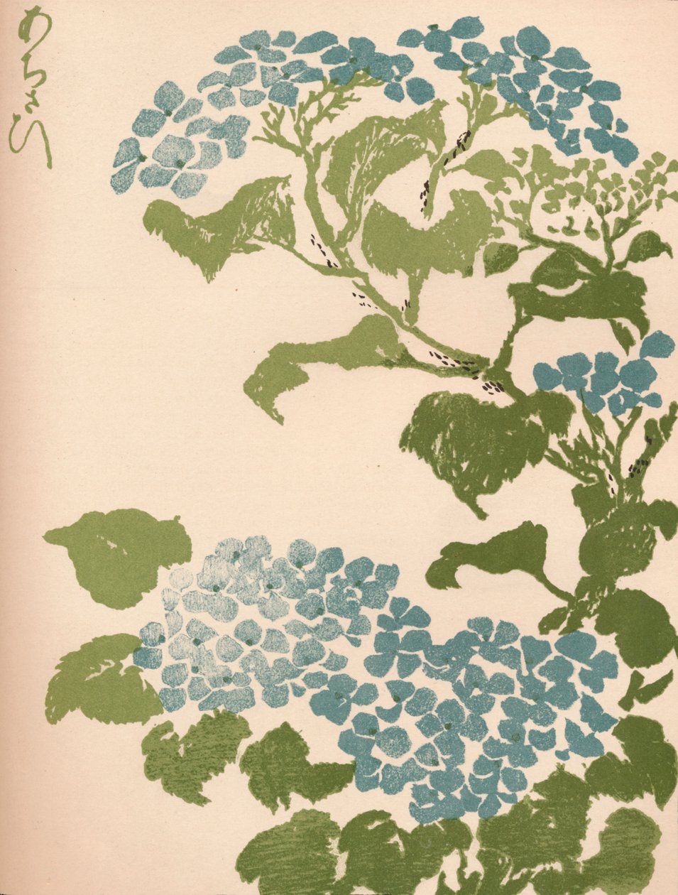 「アジサイ」、1838 作： 池田鉄