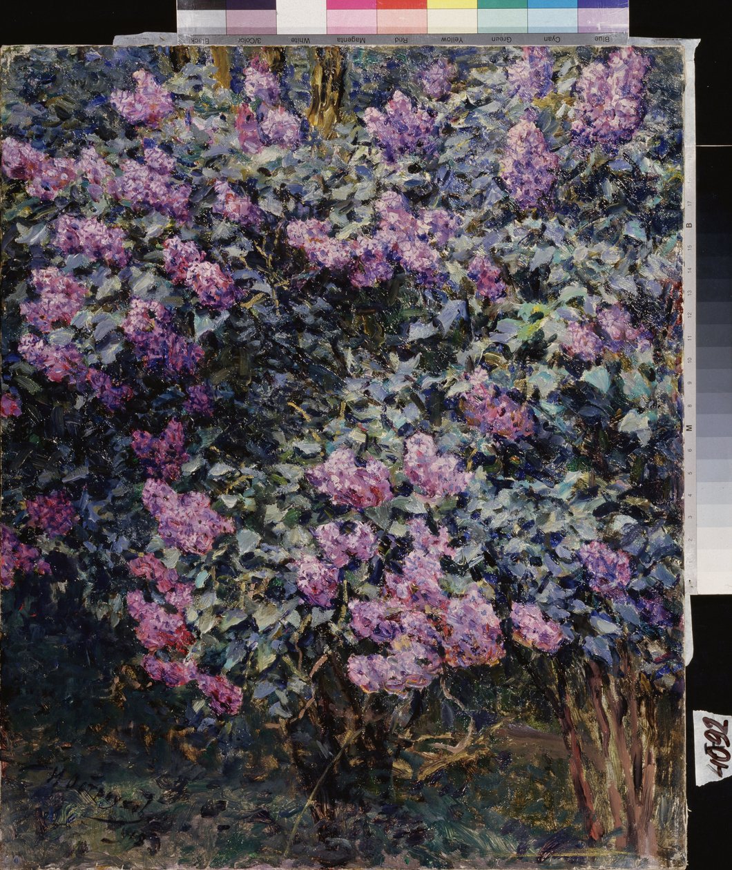 ライラック。 Ilya (Ilia) Semenovich Ostroukhov (1858-1929) の絵画、キャンバスに油彩 作： イリヤ・オストローホフ