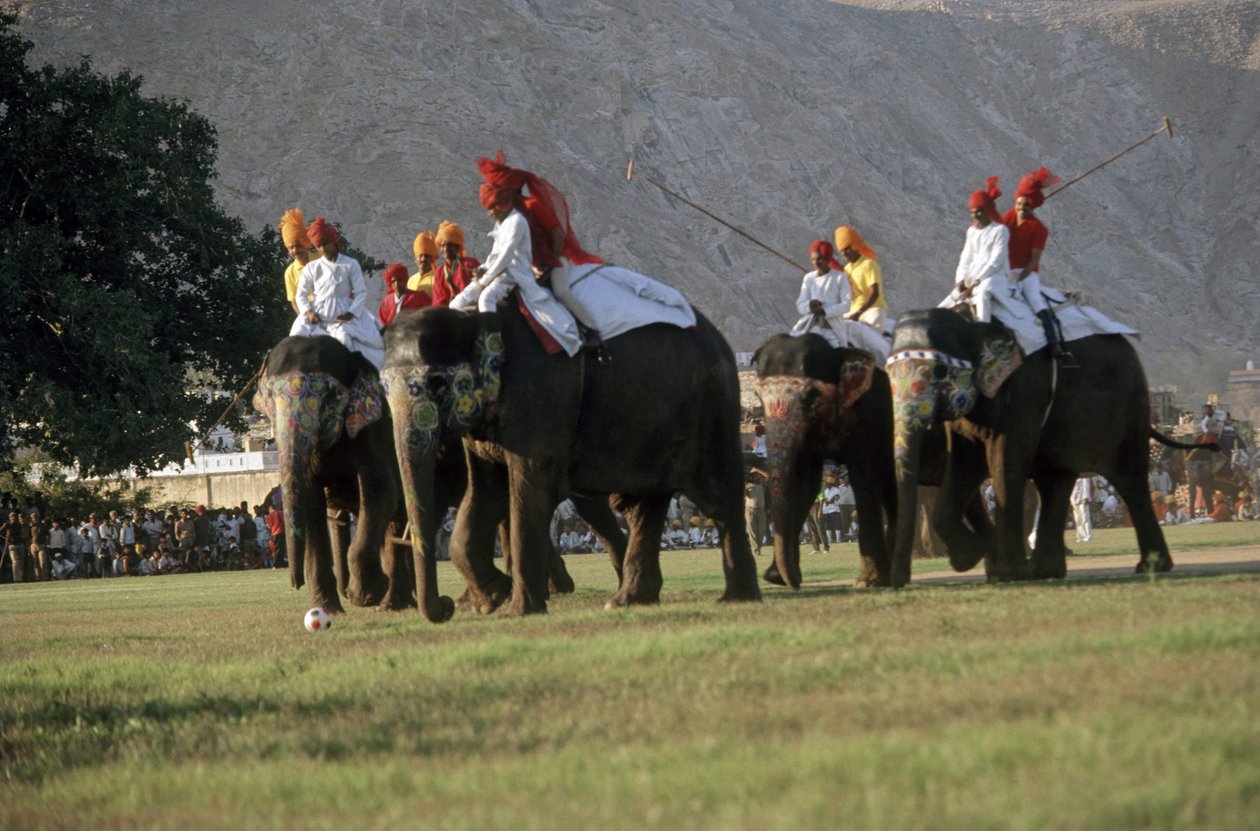 象のポロ競技に興じる男たち（写真） 作： インドの写真家