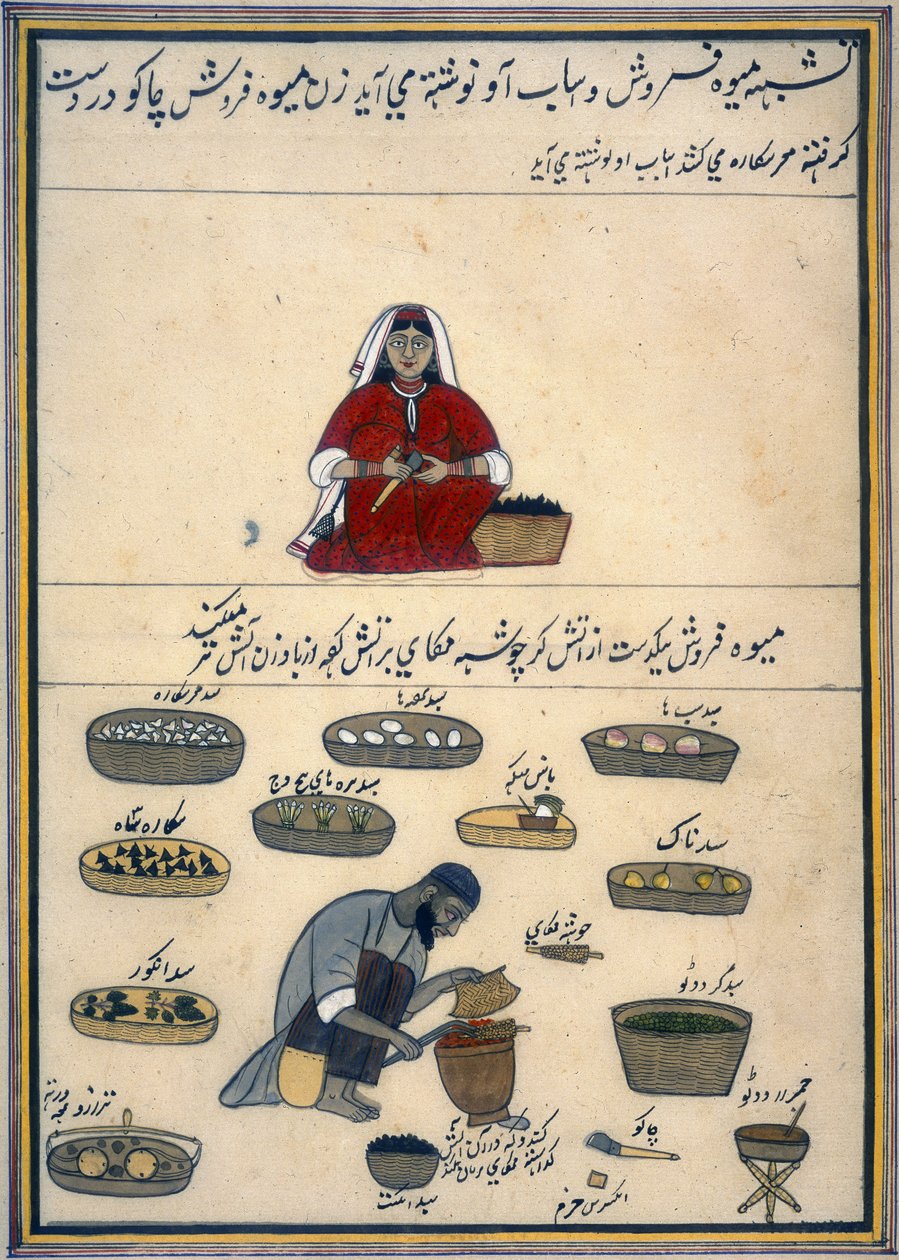 「カシミール貿易のアルバム」、1860年頃（紙に水彩） 作： インドの学校