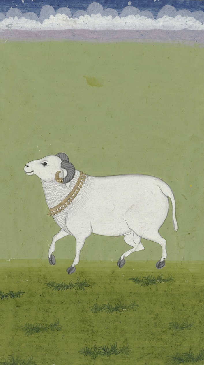 黄金の首輪付きラム、1700〜1799 作： インドの学校