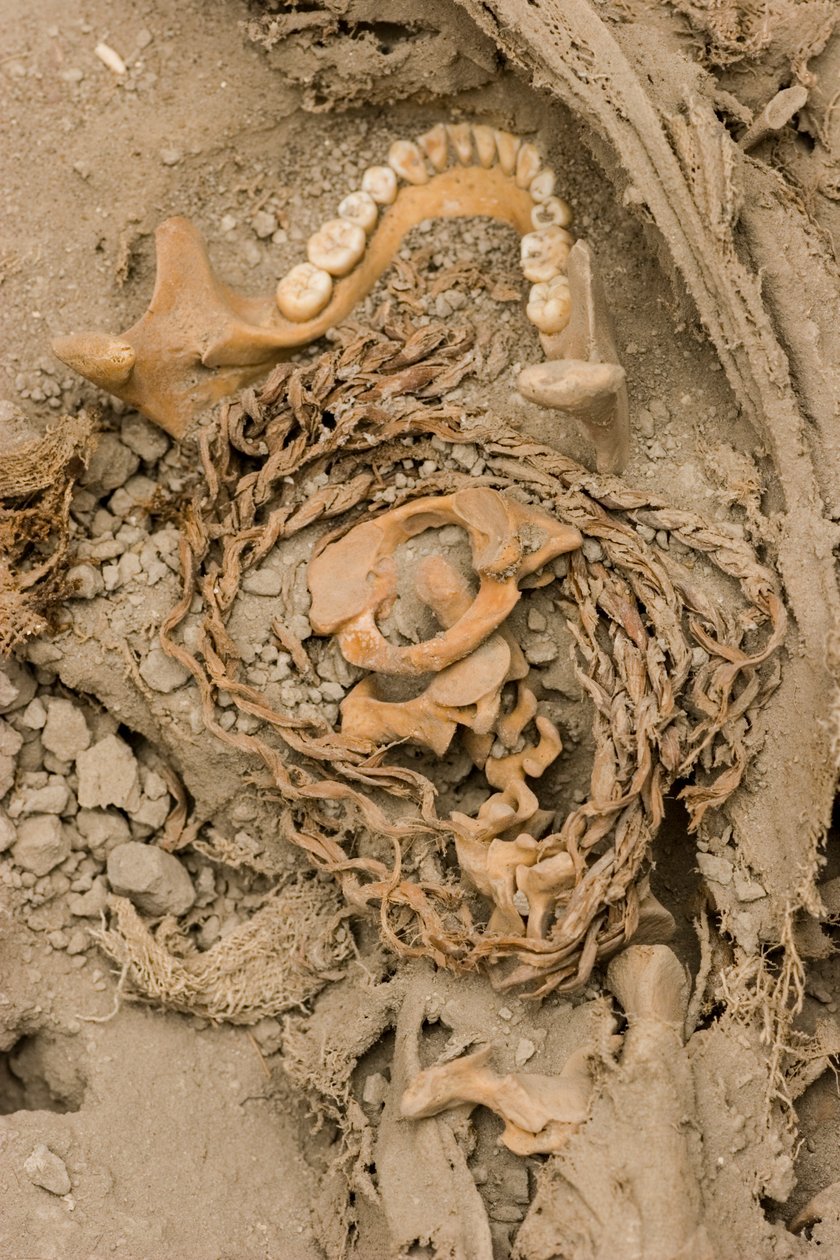 女性犠牲者の遺体、2005年（写真） 作： アイラブロック