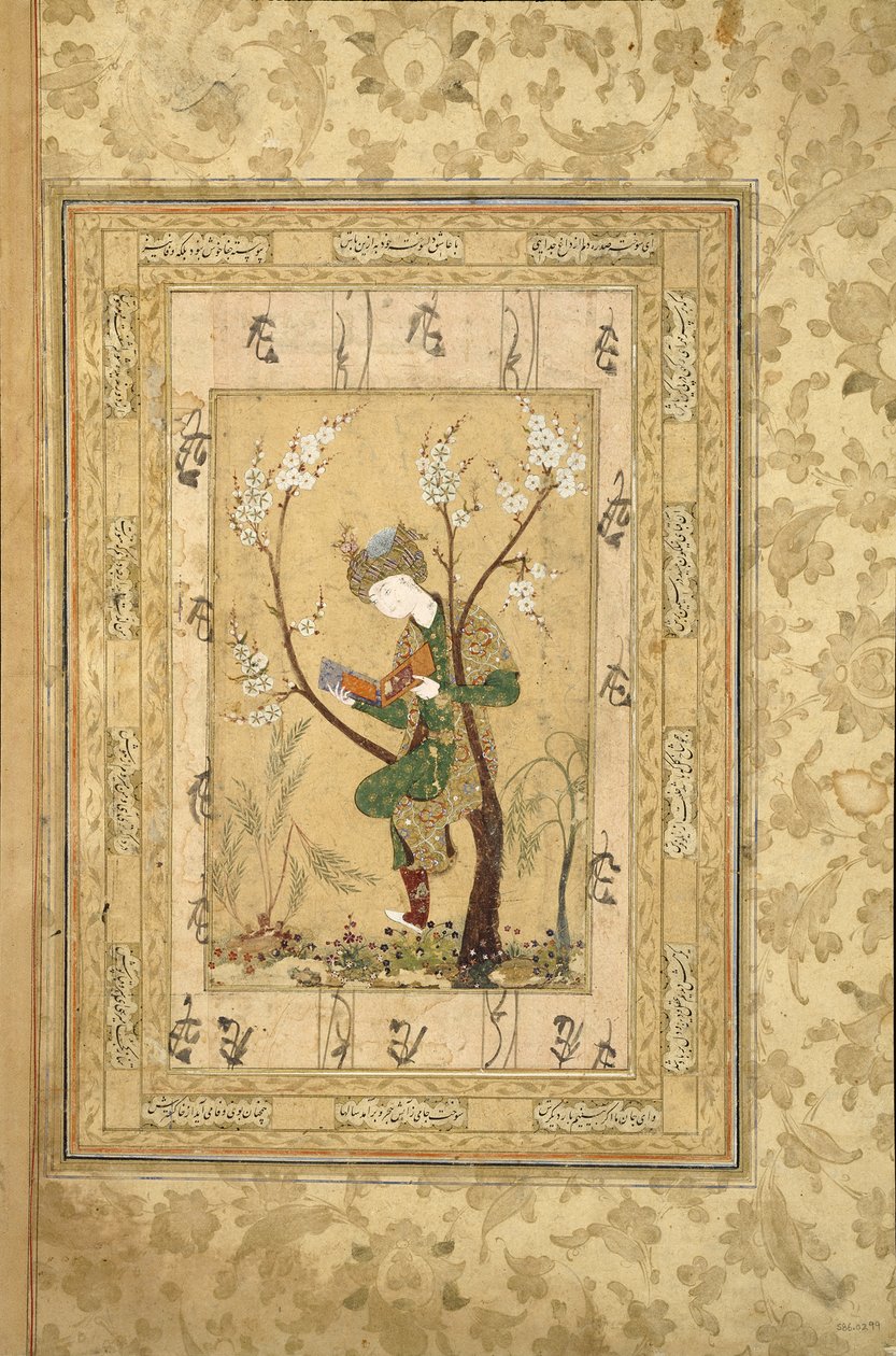 開花木の枝に座る青年、1560年代 作： イランのマスター