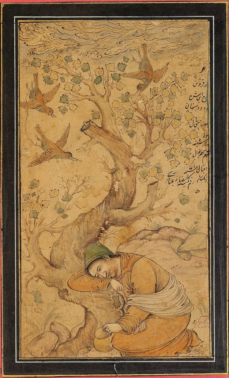孤独な医者 作： イランの学校