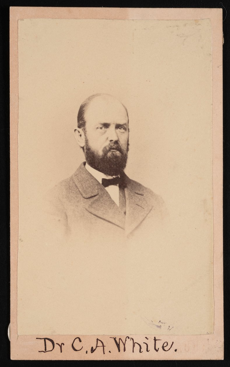 チャールズ・アビヤター・ホワイトの肖像 1826-1910, 1868. 作： アイザック・アウグストゥス・ウェザビー