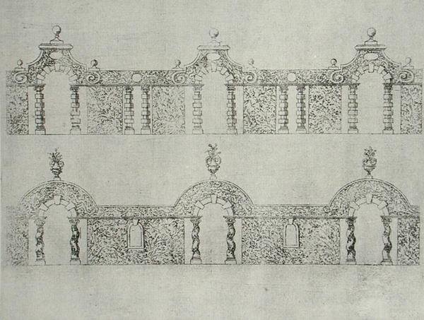 1645年頃に出版された「The Gardens of Wilton」に掲載されているトピアリーのアーケード付き歩道のデザイン（エングレービング 作： アイザックデコース