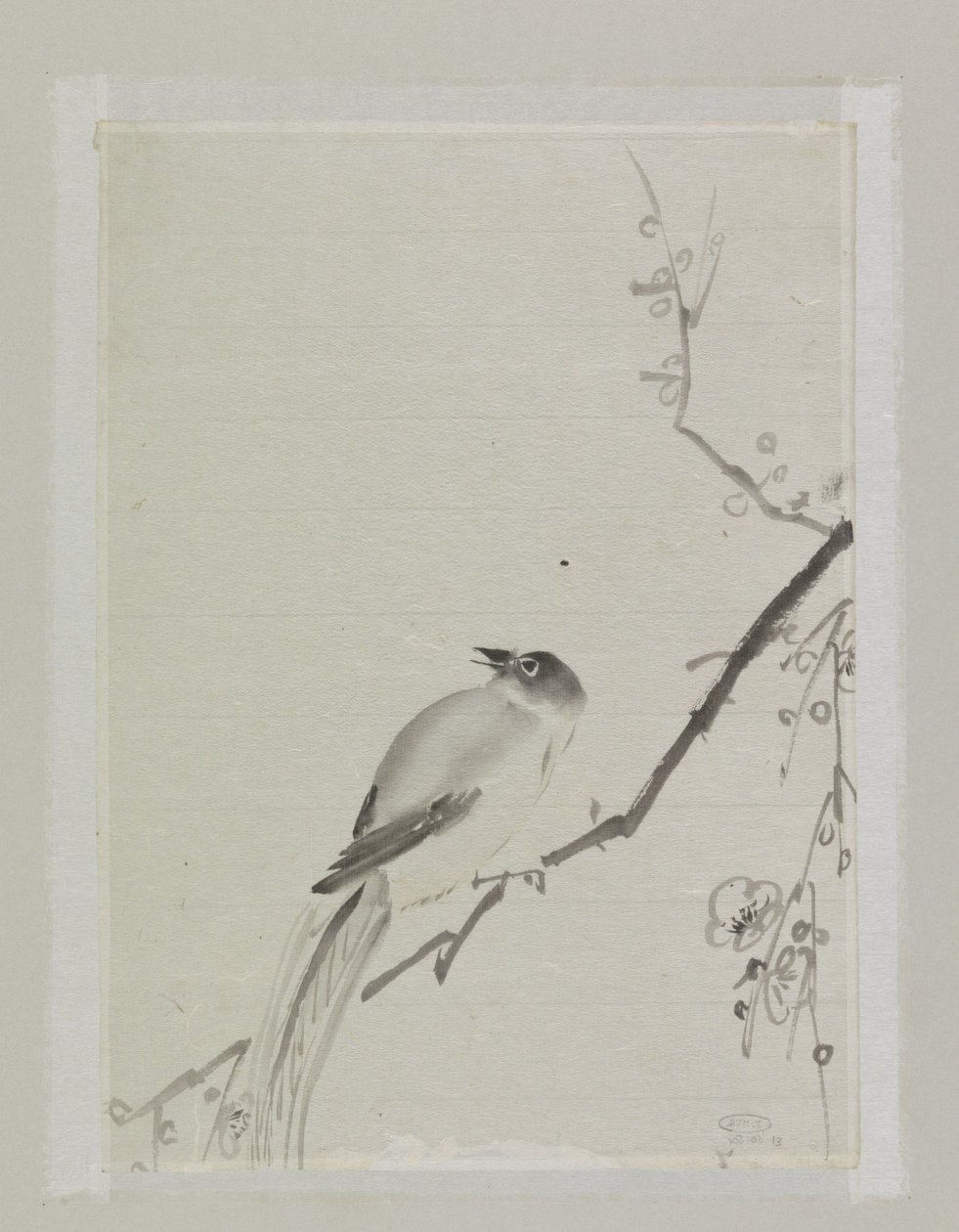 桜の木の枝にとまる鳥 作： 石川かざん