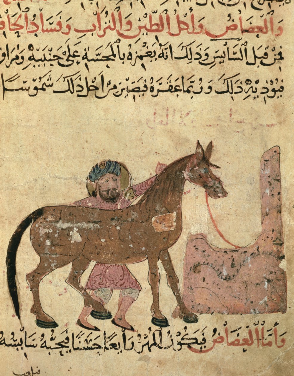 馬の世話、アーメドイブンアルフセインイブンアルアーナフの「Book of Farriery」のイラスト、1210年 作： イスラム学校