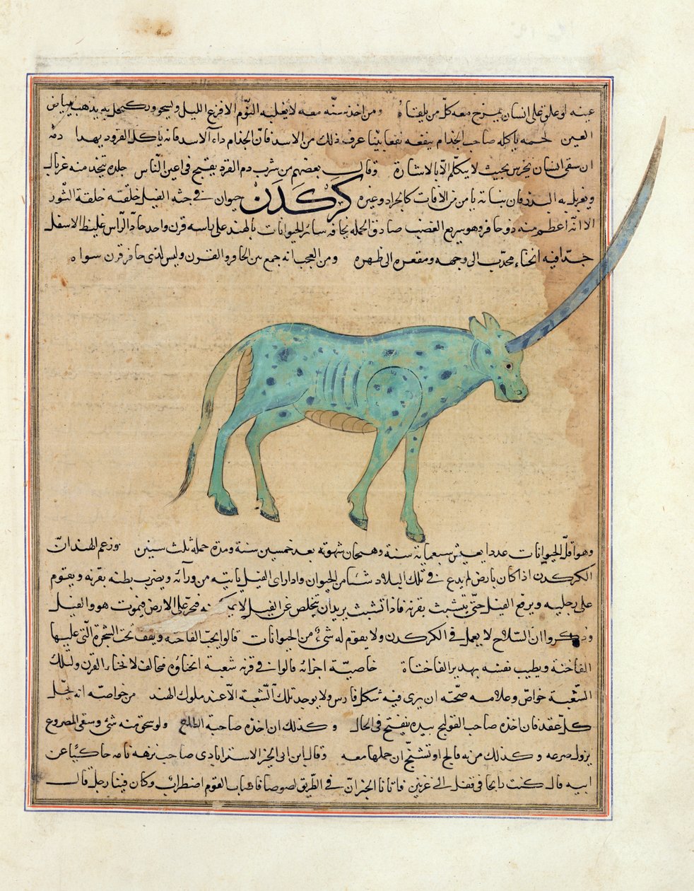 Ms E-7 fol.191b Rhinoceros、ザカリヤ・イブン・ムハンマド・アル・カズウィニによる「創造の不思議と存在の好奇心」のイラスト 作： イスラム学校