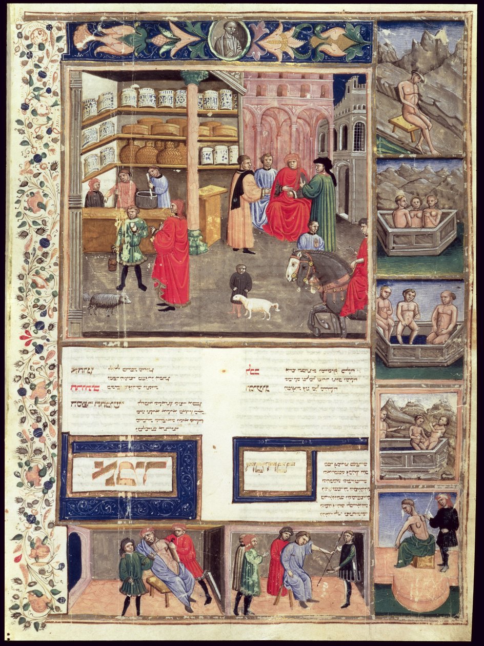 Avicenna（Ibn Sina）による &39;Canon of Medicine&39;のページ（980-1037） 作： イスラム学校