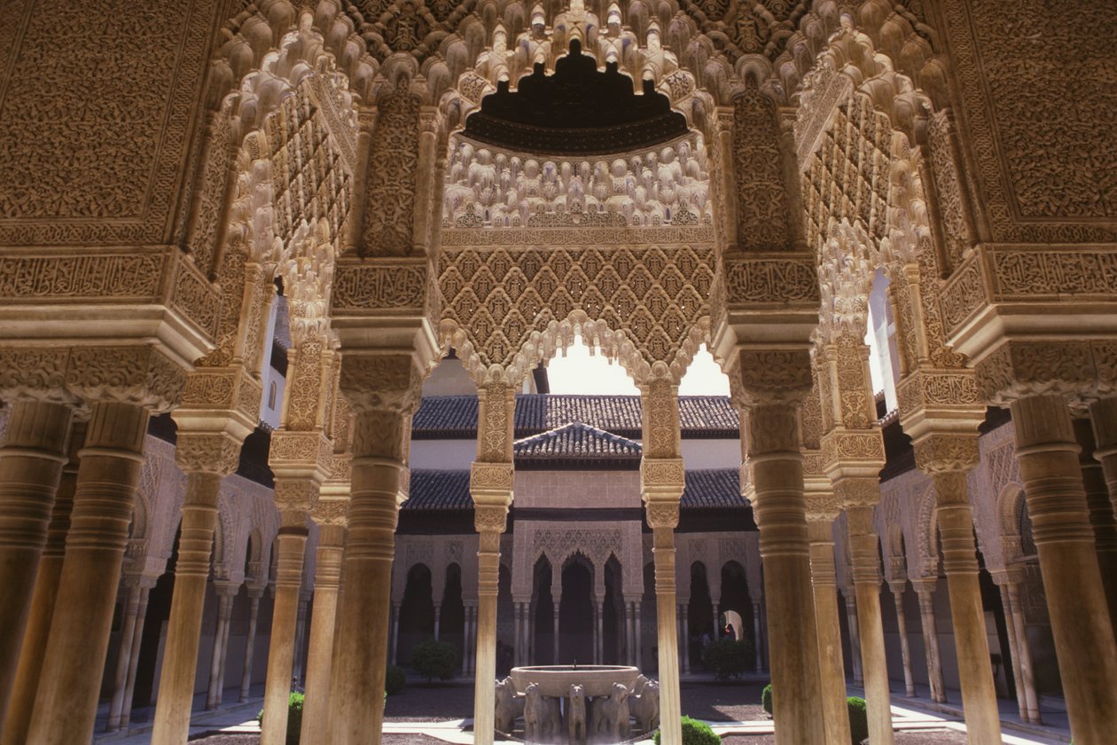 ライオンズの法廷 作： イスラム学校