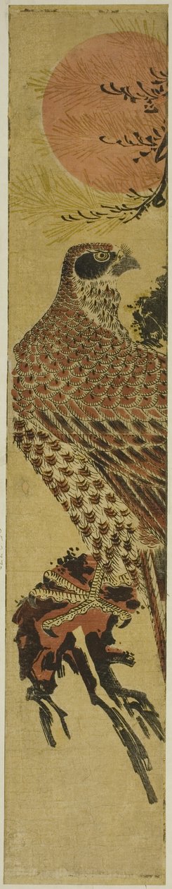 日の出の鷹 作： Is田流彩