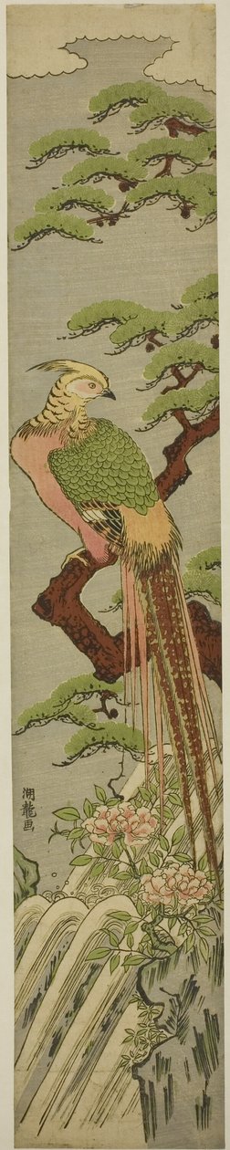 牡丹と滝の上の松の木の黄金のキジ 作： Is田流彩
