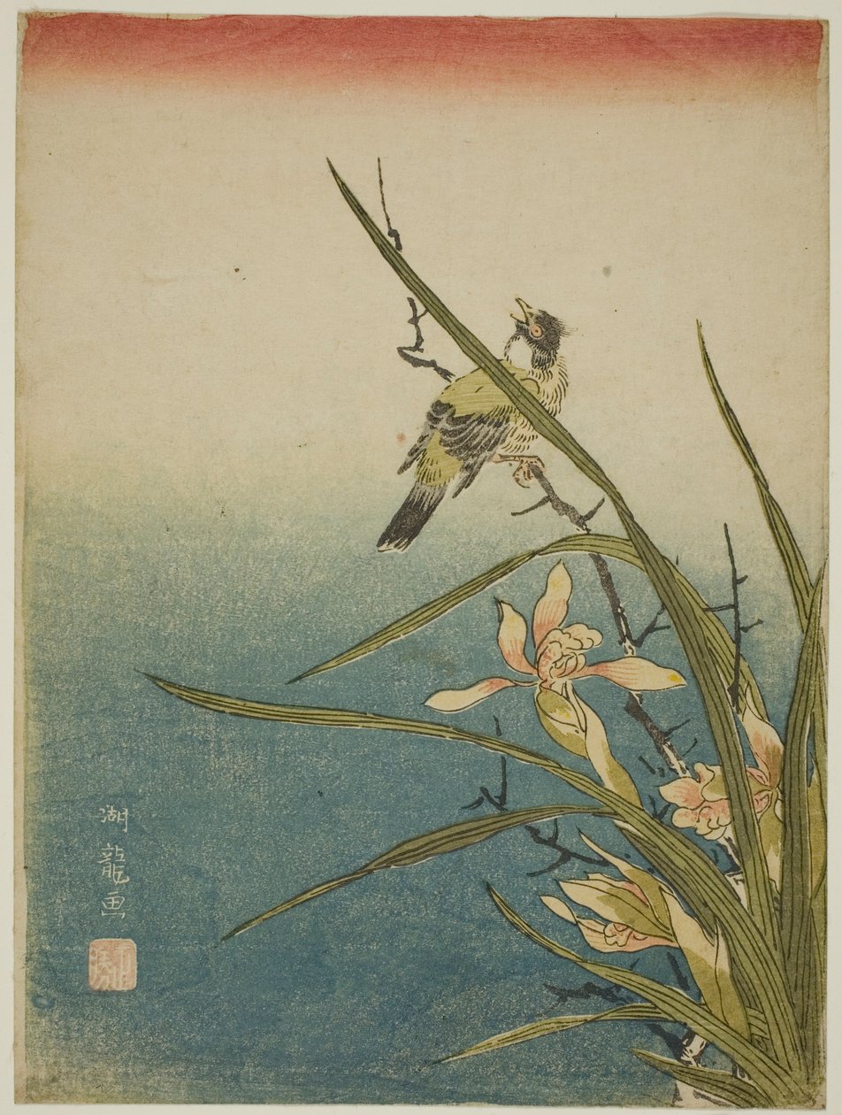 蘭と鳥 作： Is田流彩