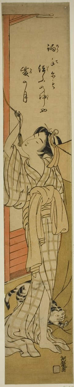 若い女性, 掛かること, a, 蚊帳, ∥ように∥, 猫, プレーする, ∥において∥, 彼女, 足 作： Is田流彩