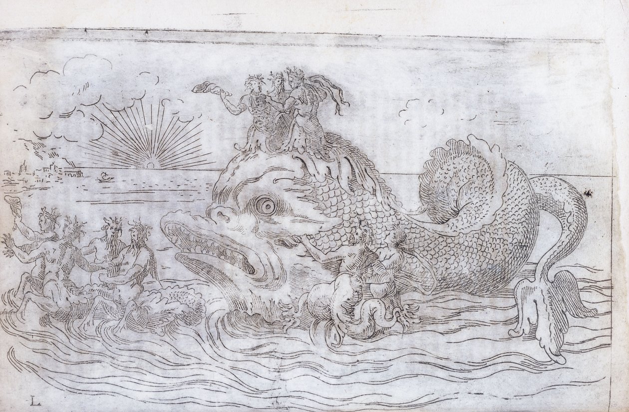幻想的な魚の戦車、1579年 作： イタリア語学校