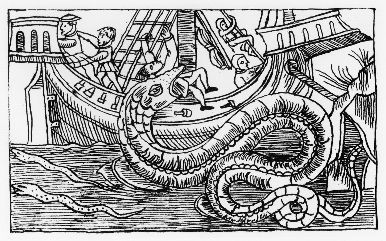 「北部の説明」からの海の蛇 作： イタリア語学校