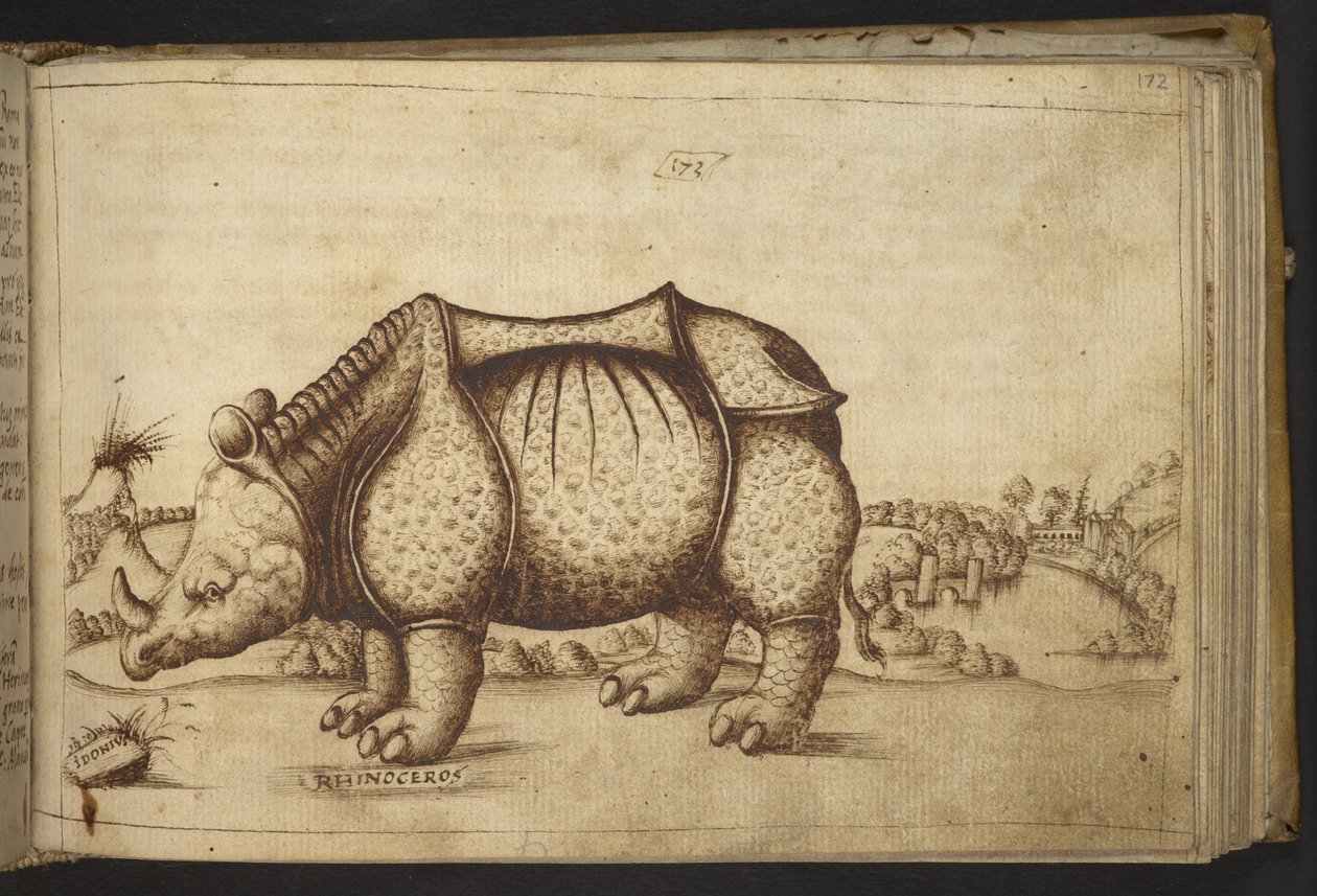 追加。 82955、f.172 サイ、動物の歴史から 作： イタリア語学校