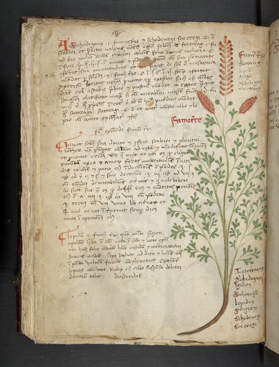 MS 41623 f.65v 