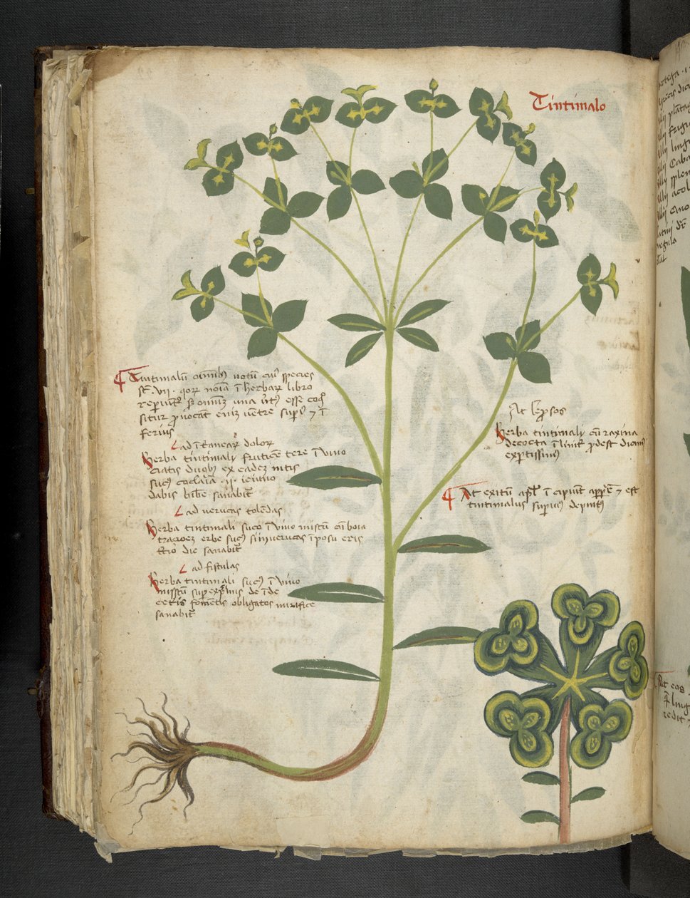 MS 41623 f.94v 