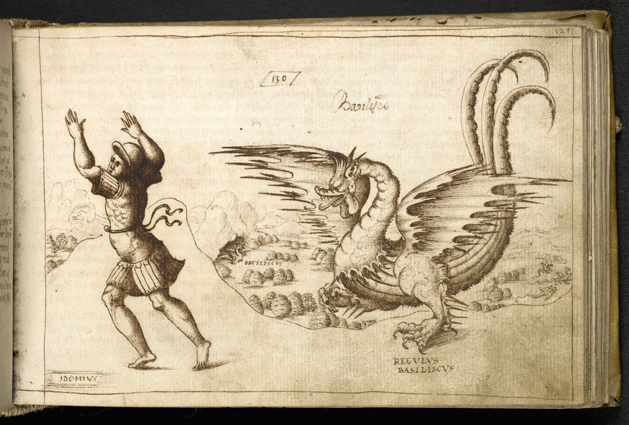「Historia Animalium」から MS 82955 f.129r ドラゴンを追加 作： イタリア語学校