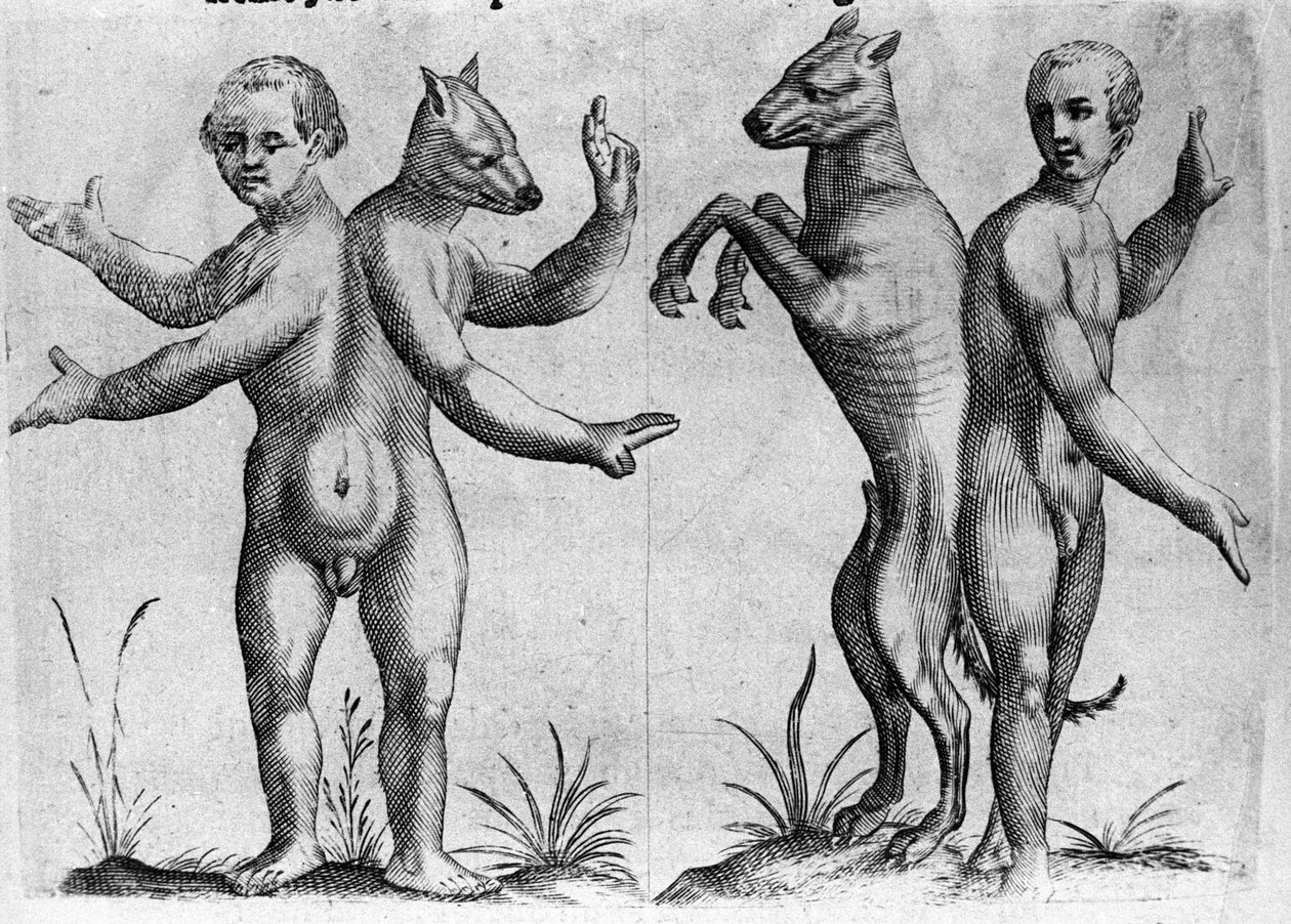 異なるタイプの人間の怪物：二重の体を持つ2つの生き物、半分人間と犬（シャム）。イタリアの科学者Fortunio Liceti(1577-1656)の「De monstrorum natura, causis et differentiis」からの版画。1646 作： イタリア語学校