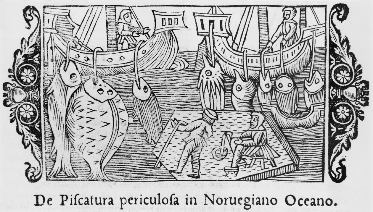 1555年にローマで出版されたOlaus Magnus（1490-1558）による北方民族の歴史からのノルウェー海での釣り、1555年 作： イタリア語学校