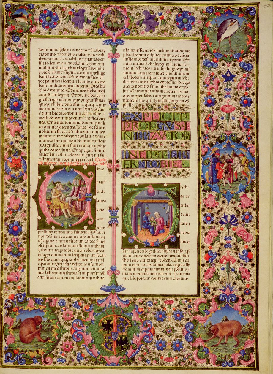 Fol.212r トビーの本、Borso d