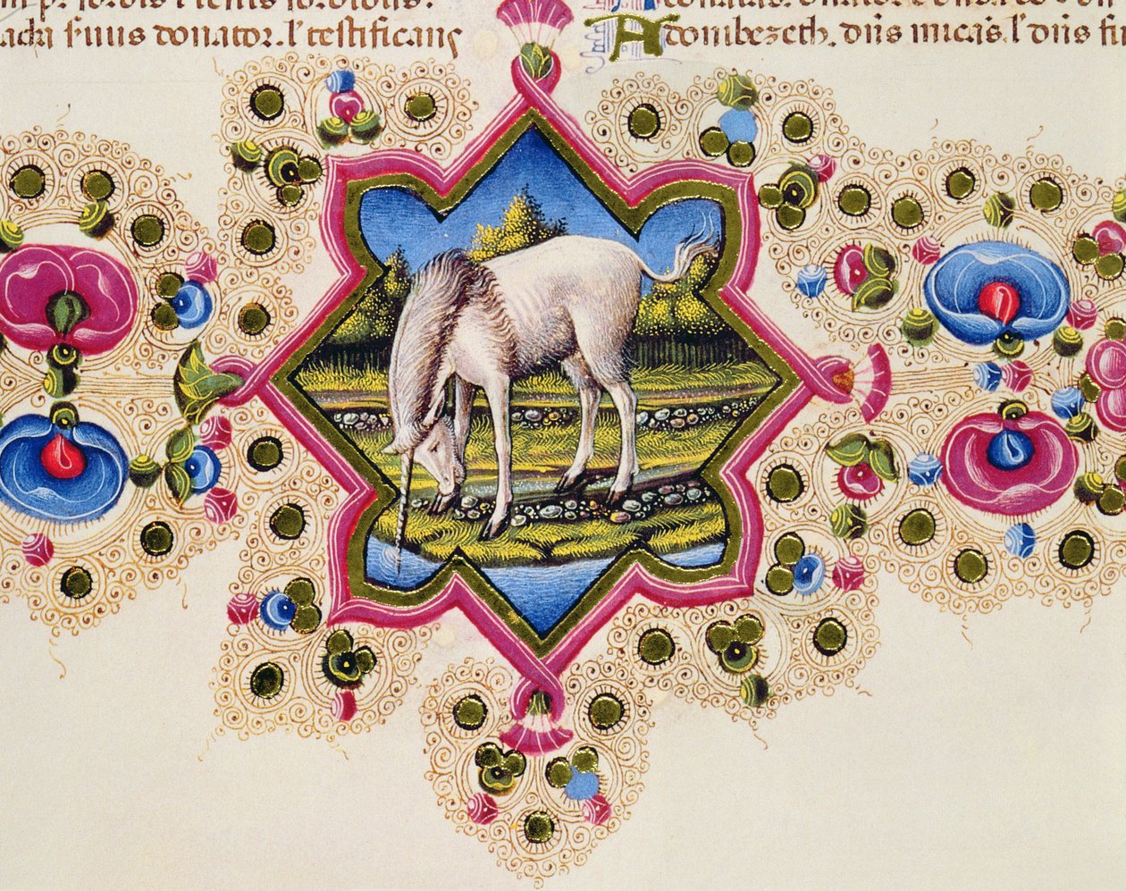 Fol.245V ボルソ デステ バイブル Vol.II のユニコーン 作： イタリア語学校