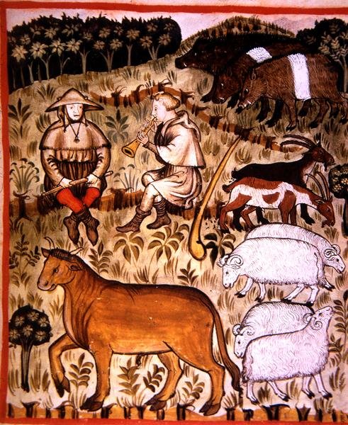 Fol.71r 「Tacuinum Santiatis Codex Vindobonensis」の挿絵「去勢された動物」（ベラム製） 作： イタリア語学校