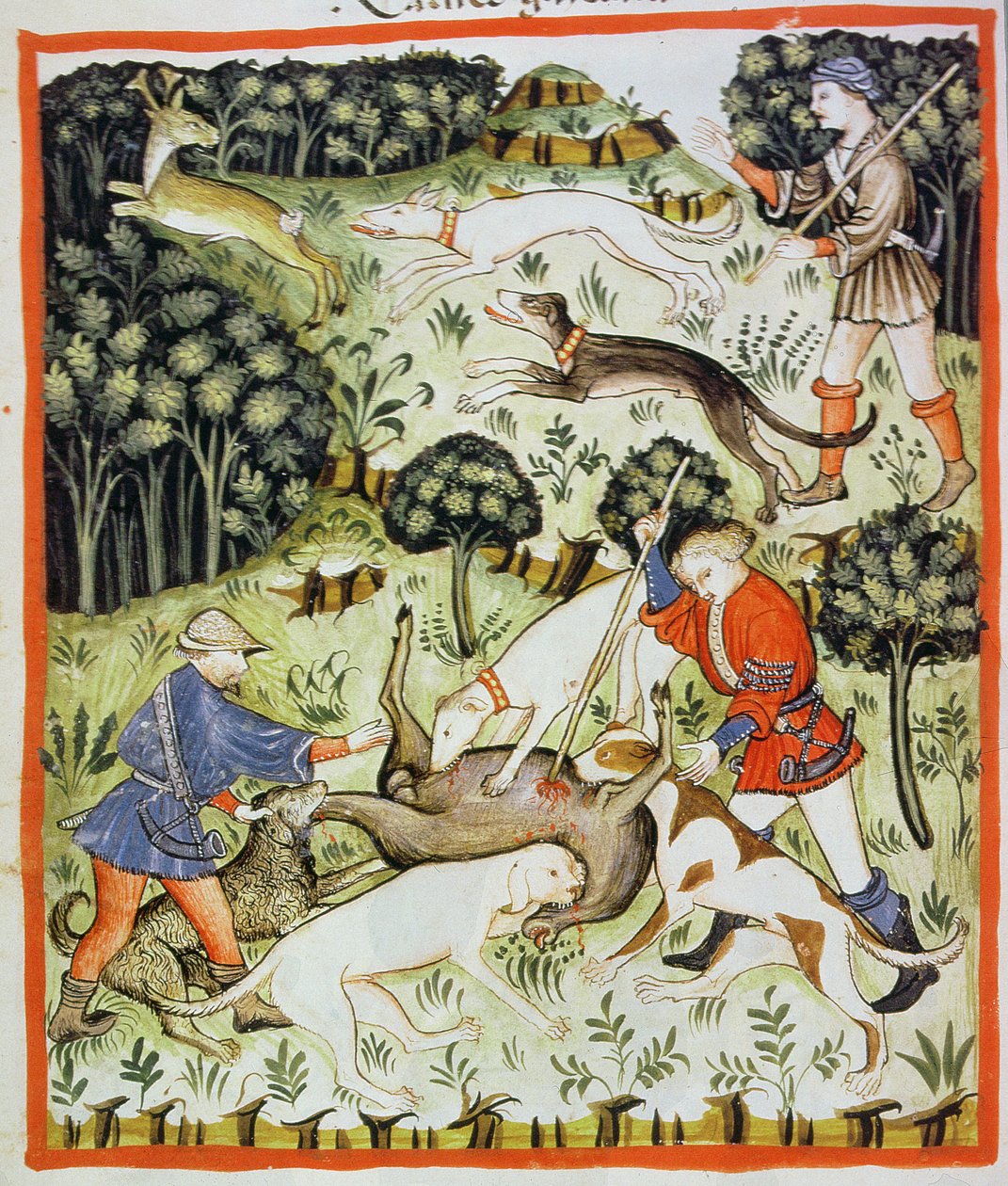 Fol.71v狩猟ガゼル、Tacuinum Santiatis Codex Vindobonensisのイラスト 作： イタリア語学校