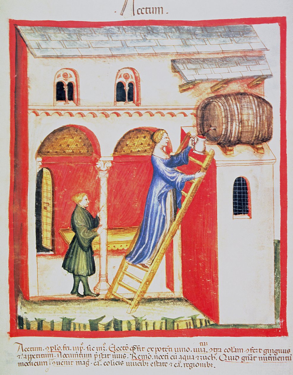 Fol.85v酢、Tacuinum Santiatis Codex Vindobonensisのイラスト 作： イタリア語学校
