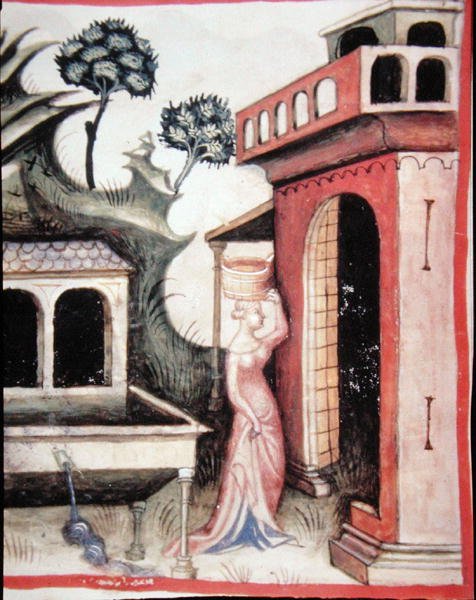 Fol.88v 「Tacuinum Santiatis Codex Vindobonensis」の挿絵「春の水」（ベラム製 作： イタリア語学校