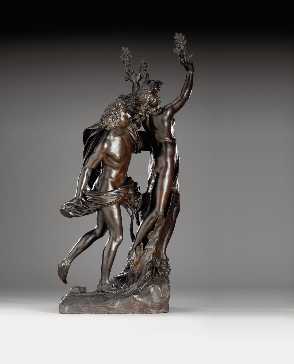 アポロとダフネのグループ、ジャンロレンツォベルニーニの後、1722年頃 作： イタリア語学校