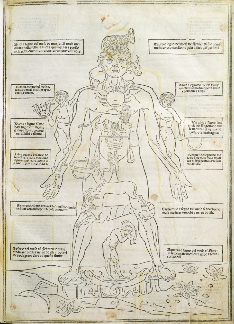「Fassiculus Medicinae」ベニスのイラスト 作： イタリア語学校