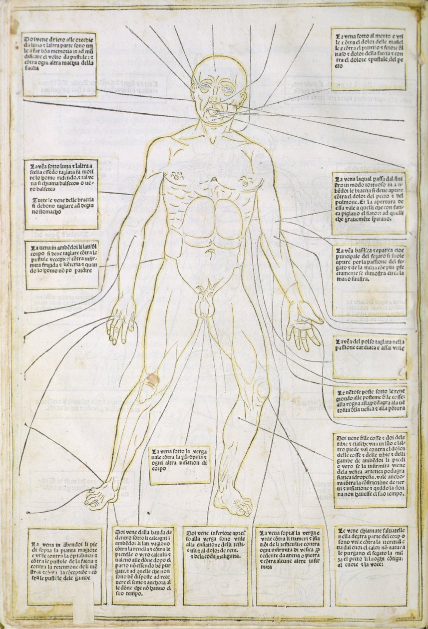 「Fassiculus Medicinae」ベニスのイラスト 作： イタリア語学校